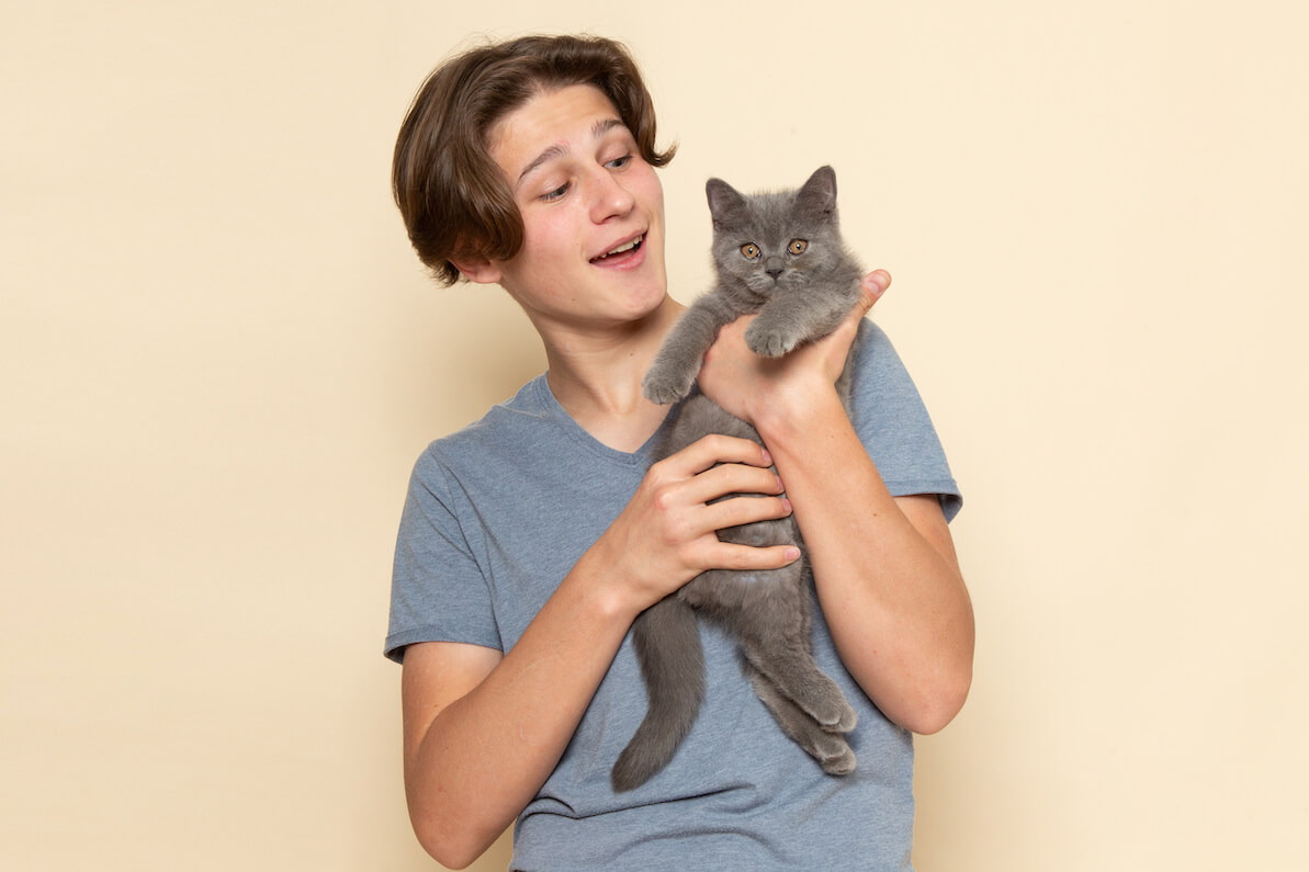 Cat Holder